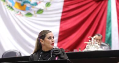 Exige Anita González a Estado fortalecer estrategia de seguridad