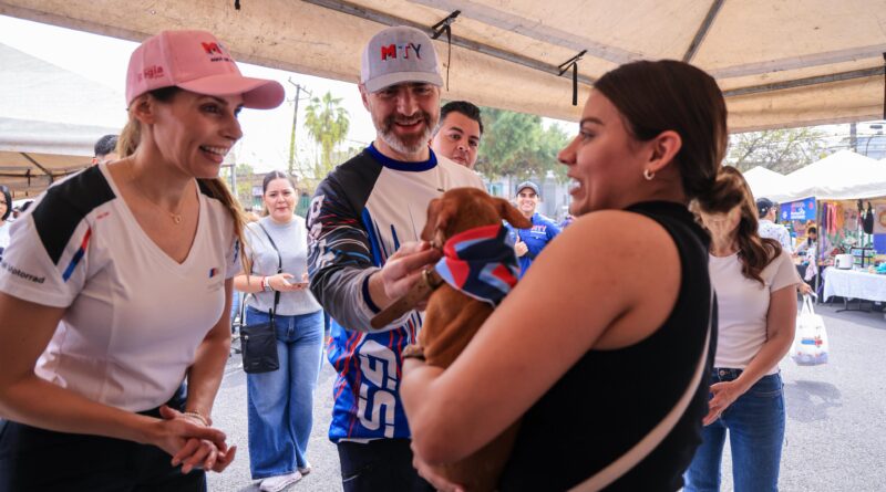 Adoptan en “Chihuatón” a los 50 perritos disponibles