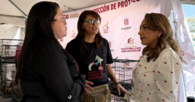 Abraza Yesi de Mijes bienestar animal; encabeza jornada de esterilizaciones