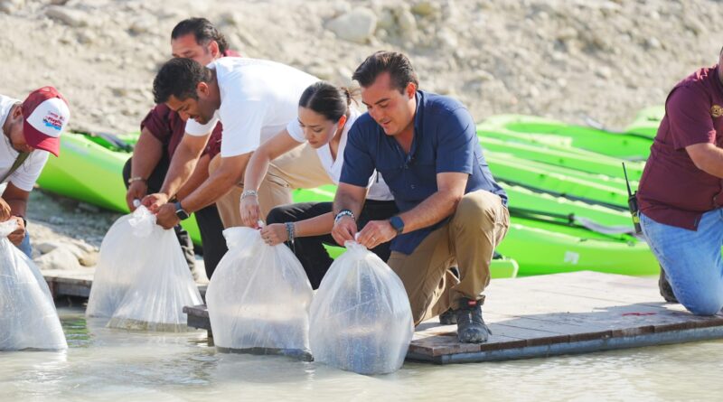 Encabeza Manuel Guerra siembra de 25 mil tilapias en “La Playita de García”