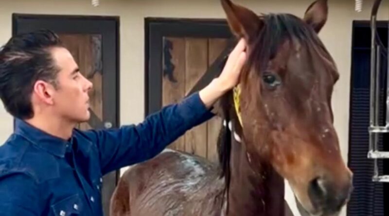 Ha valido la pena cada esfuerzo: Mike Flores impulsa rescate animal en NL