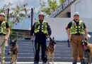 Auxiliará Unidad K9 de Jaguares en búsqueda y rescate en Venezuela