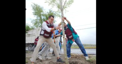 Reforesta Manuel Guerra Cavazos Avenida Lincoln con mil nuevos árboles
