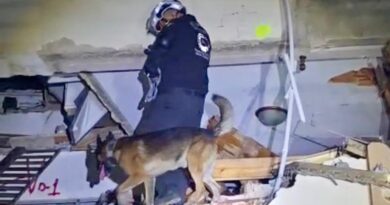 Rescata K9 Jaguares a más víctimas en Venezuela