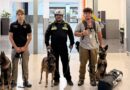 Reciben a Jaguares provenientes de Venezuela