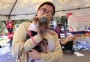Advierte Guadalupe cuidados a mascotas por altas temperaturas