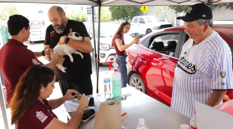 Realiza Escobedo acciones a favor de las mascotas