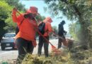 Refuerzan limpieza en colonias de Guadalupe