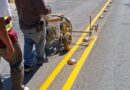 Instala Santa Catarina señalética para facilitar movilidad