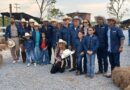 Inauguran “Kawayo”, primer santuario para rescatar equinos victimas de maltrato
