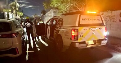 Salva Jaguares a niña tras ahogamiento en alberca